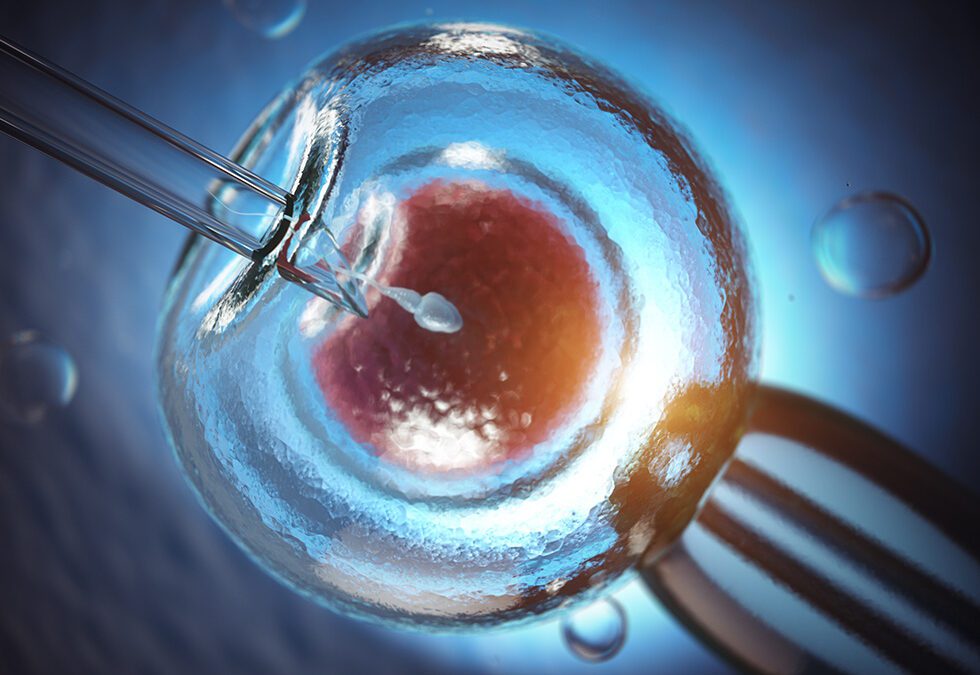 Fortpflanzungsmedizingesetz wird revidiert